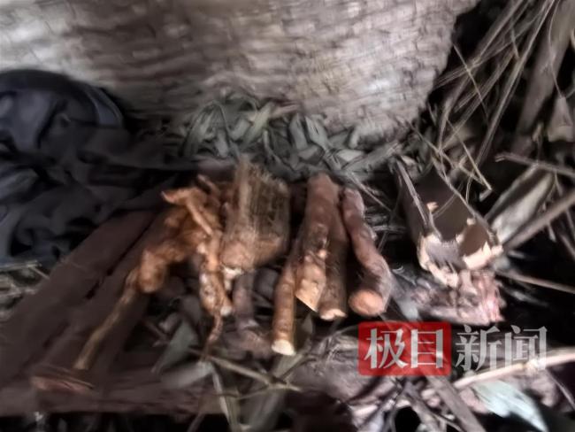 实探荒野求生选手“苗王”的庇护所 山中生存技巧揭秘