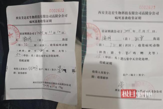 45只羊疑误食有害垃圾死亡 警方介入 调查仍在进行中