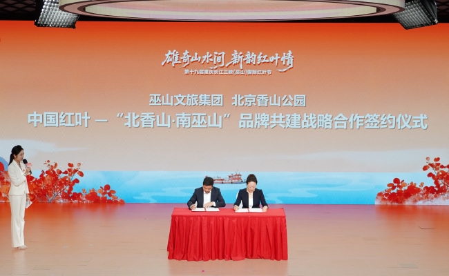 橙黃葉紅正當(dāng)時——重慶巫山向全球游客發(fā)出紅葉之約