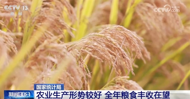 透视国民经济运行“稳”+“进” 总体平稳稳中有进