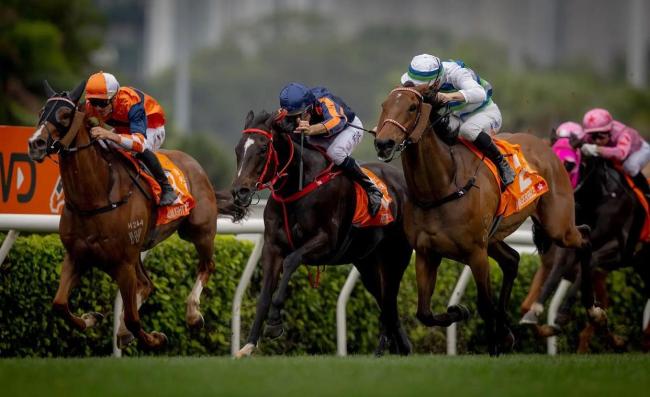 全运走笔：全运会奖牌榜远超体育竞技 地方财政与体育实力的映射