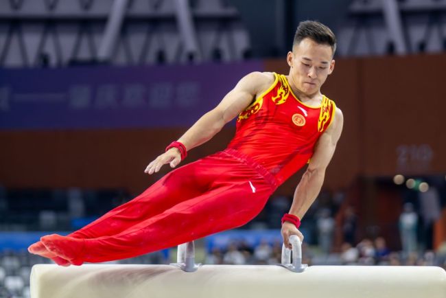 有坚持、有热爱、还有共同的未来与期待 体坛老将与新星共铸辉煌
