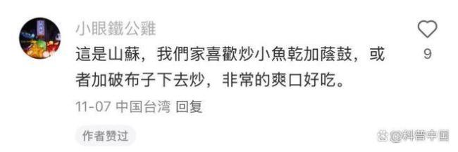 50块1斤的网红菜竟是云南人的绿化带！