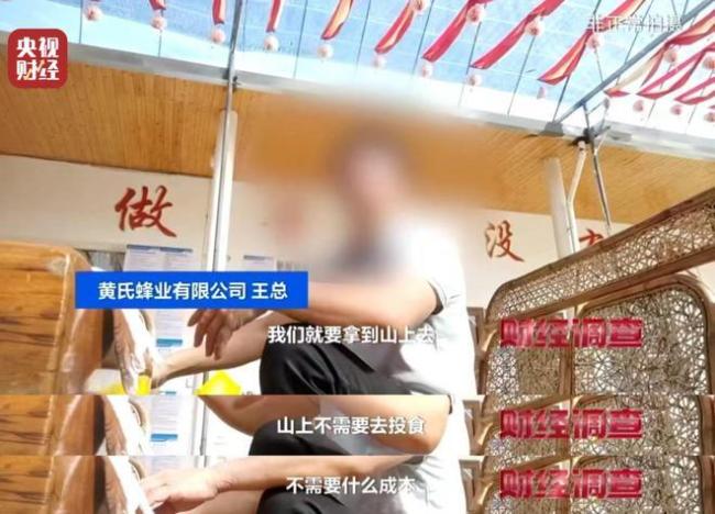 “杀人蜂”遭滥养 有人赚得盆满钵满 总台曝光