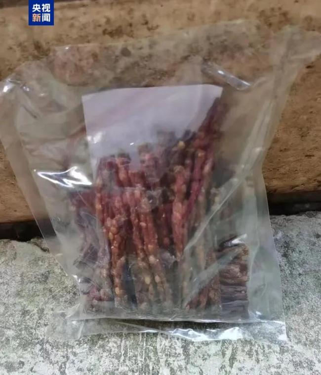 救人警犬获一大袋肉干谢礼 白胡子“来福”立大功