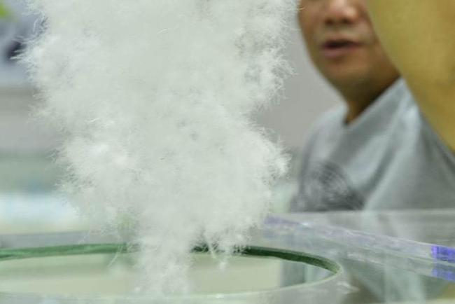 鸭绒价格涨至3倍 羽绒服会涨价吗 供需失衡推高成本