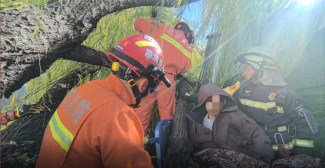 男子被倒樹砸中懷柔消防緊急救援 強(qiáng)風(fēng)天氣出行需謹(jǐn)慎