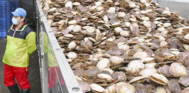 日媒：中国已暂停进口日本水产品 水产股走强