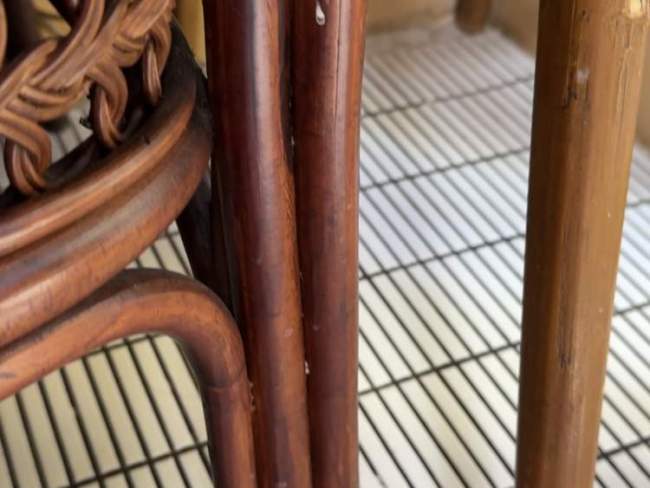 上海网红三明治店和邻居闹矛盾?市民:可以理解咖啡店禁食三明治