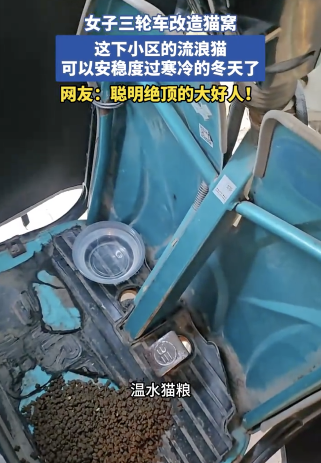 女子买三轮车为流浪猫搭建暖心冬舍