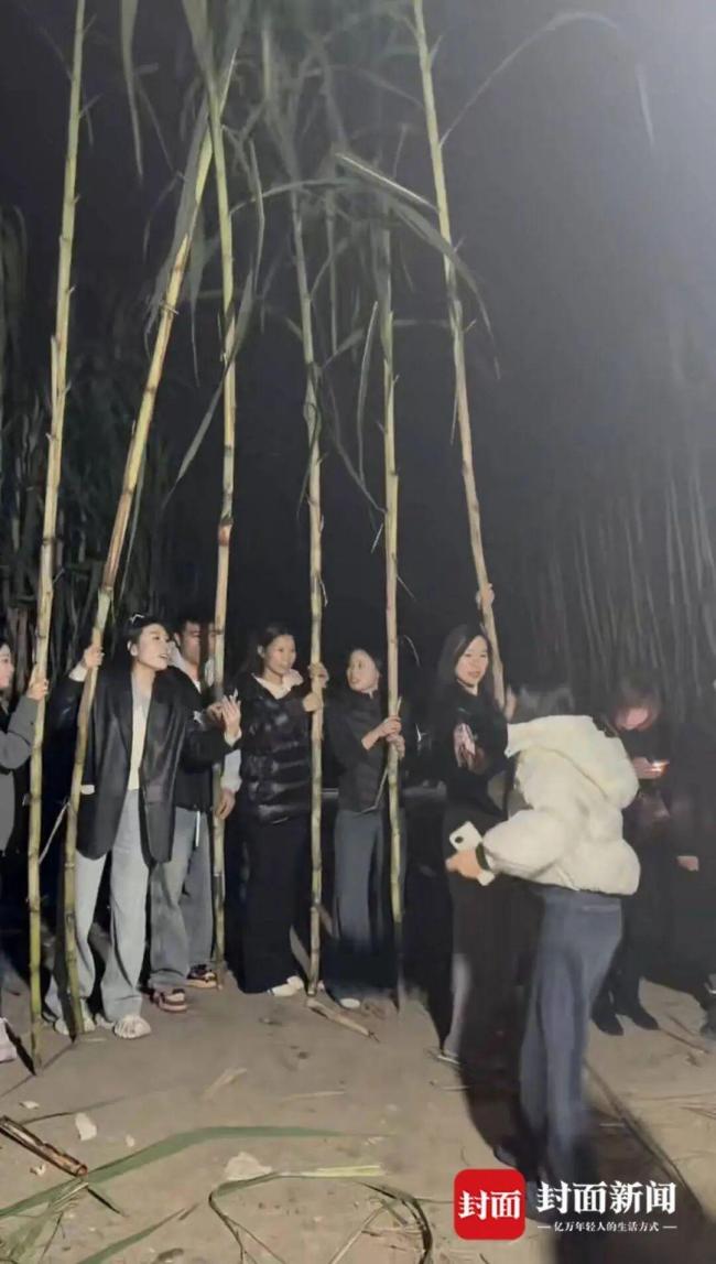 9.9元偷甘蔗老板日入近万 创意活动引爆客流