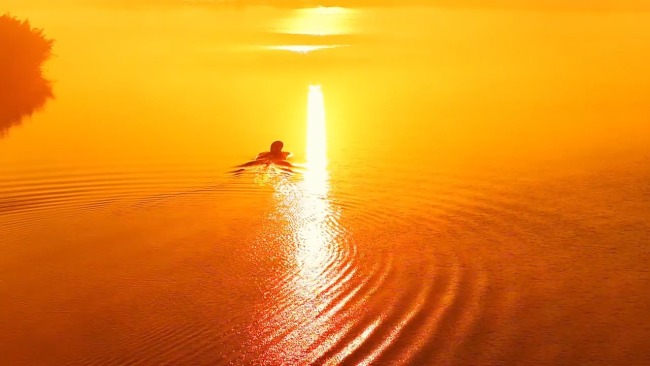 冬日平天湖上演水墨幻境 晨霧泛舟如行畫中