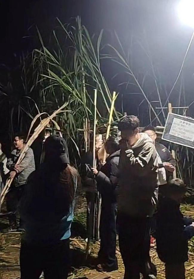 “甘蔗哥”增入场费后仍迎上千游客 呼吁理性游玩