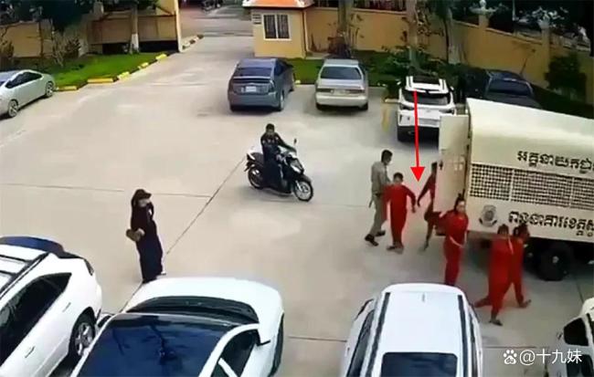 大嫂劫獄案事發(fā)地警方打擊電詐 真相揭露背后的組織預(yù)謀