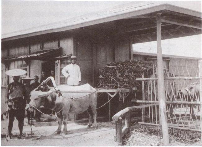 日本该还的总要还 历史罪行不容遗忘