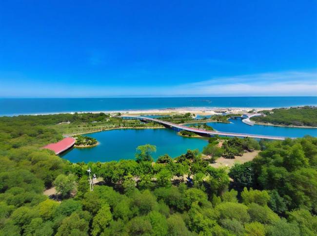 日本機場擠滿了回國的人 認知反差引熱議