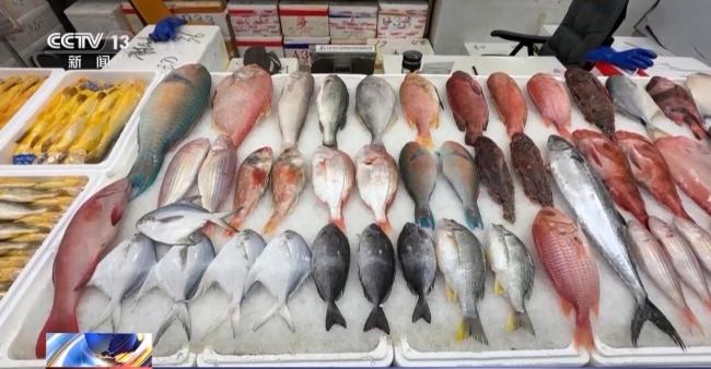 挑釁惡果初現(xiàn)！高市早苗“四面楚歌” 國內(nèi)外批評聲浪高漲