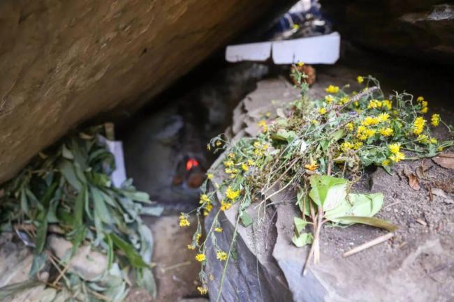 荒野求生安全員:我也強得可怕 極限挑戰(zhàn)引爆關注