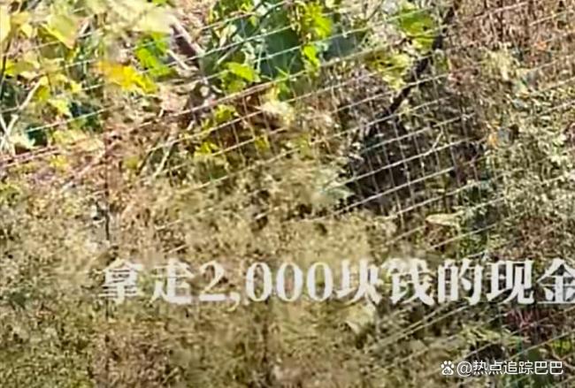 荒野求生決賽每隔10天可選擇去留 獎(jiǎng)金翻倍挑戰(zhàn)