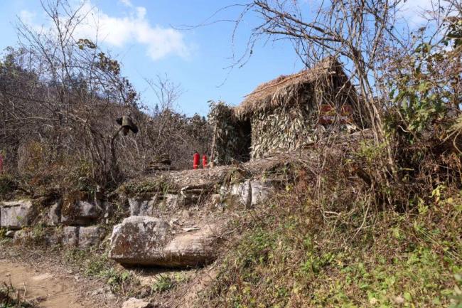张家界荒野求生一群想过得好一点的人 极限挑战引爆关注