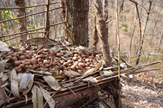 有荒野求生选手把参赛视作人生转折 荒野冒险改变命运