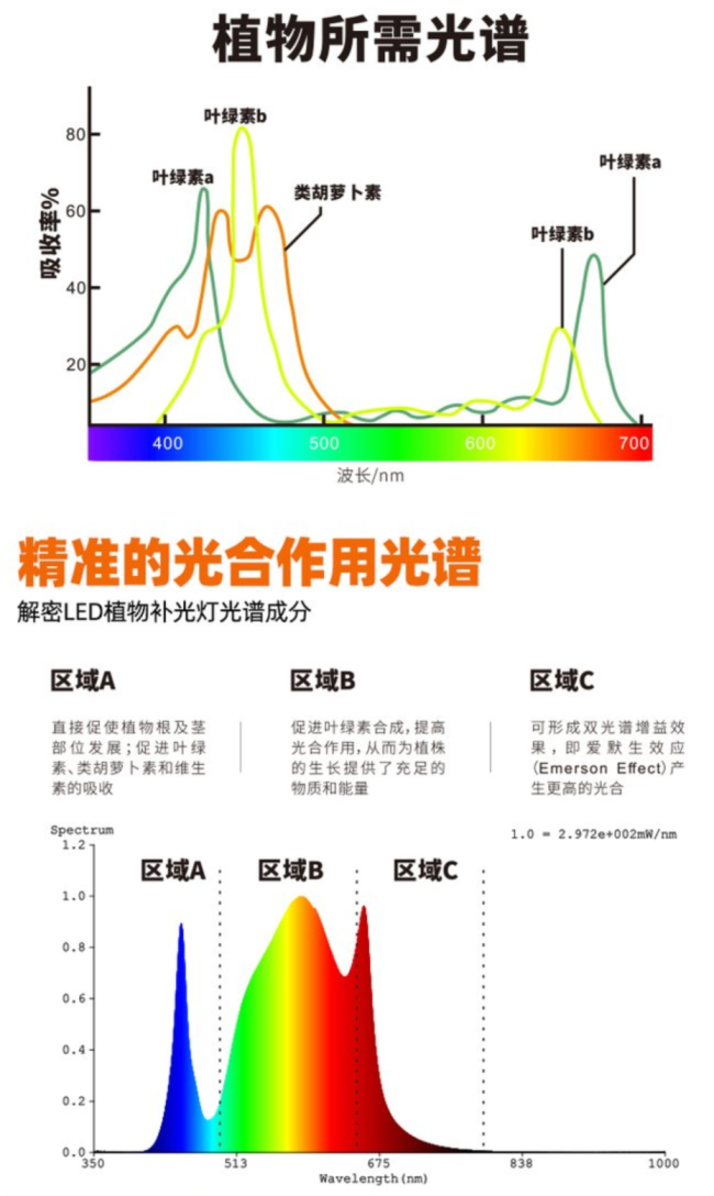 大晚上的，为什么不让火龙果睡觉？