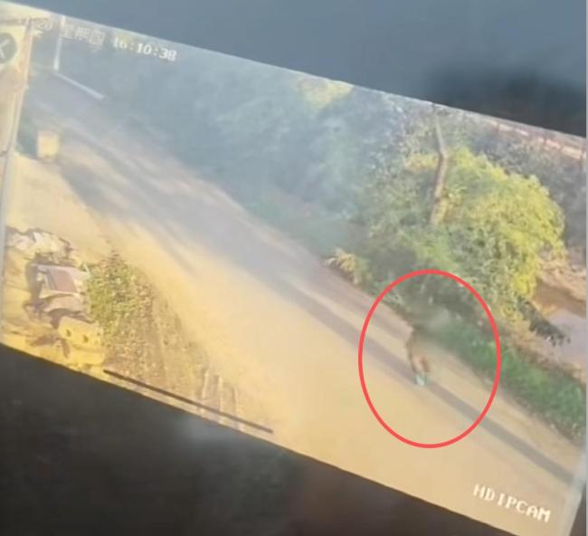 河南8歲失聯(lián)女孩遺體在化糞池找到 家屬與警方多日搜尋未果