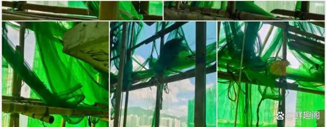 香港火災(zāi)個(gè)別住宅內(nèi)仍有火光 救援緊張進(jìn)行中