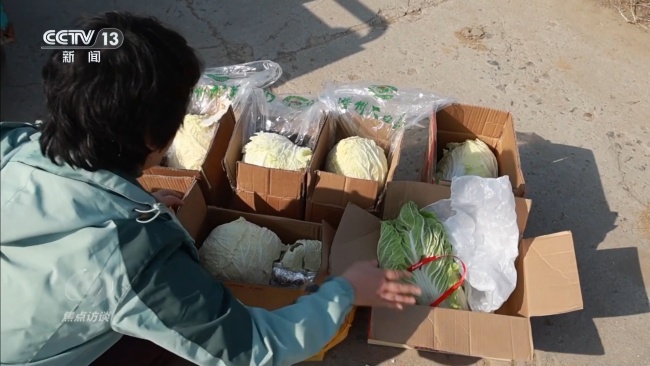 從膠州大白菜看地理標(biāo)志保護 假冒亂象頻發(fā)