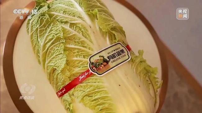 155元一棵白菜和9毛一斤的白菜一样 地理标志产品真假难辨