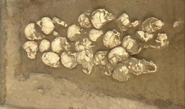 4300年前后的石峁城先民找到了 揭示早期社會遺傳結構