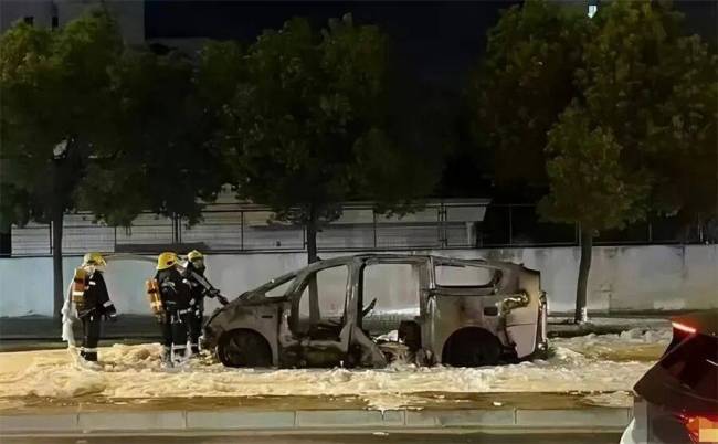 理想交出由盈转亏的成绩单 MEGA召回拖累业绩