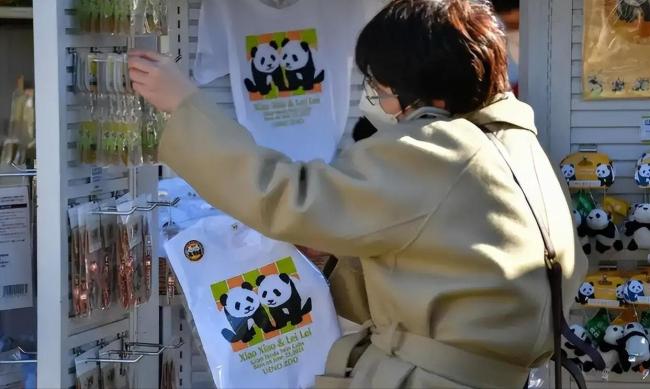 日本人求中國租大熊貓 經(jīng)濟與情感的雙重紐帶