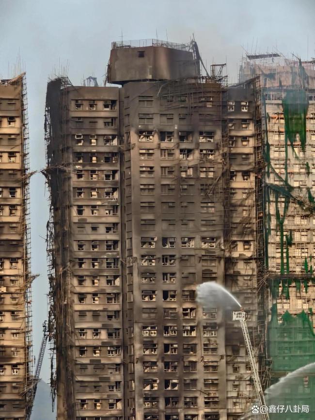 香港消防员火场中救出猫狗 生命无小事