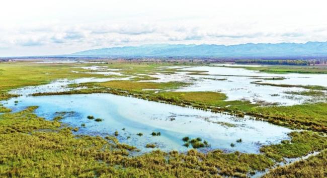 候鸟“组团”来山西越冬 生态美景迎飞羽