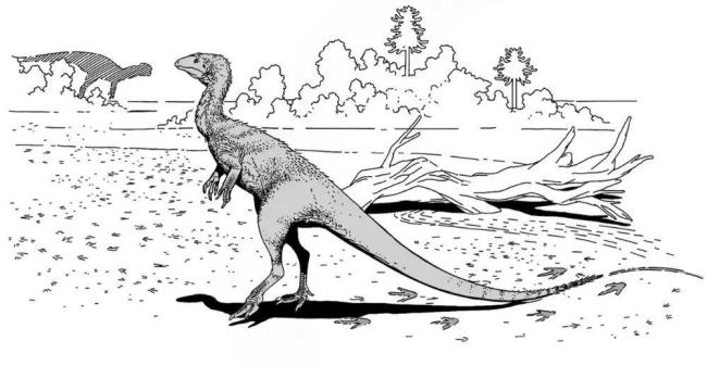 村民用了多年的垫脚石竟是恐龙化石 珍贵足迹揭示侏罗纪秘密