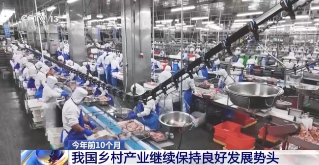 乡村产业继续保持良好发展势头 韧性增强活力迸发