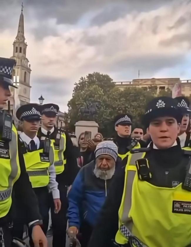 英国85岁老妇因手持支持巴勒斯坦标语被捕