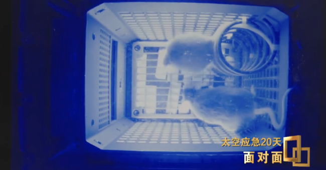 中國人在太空存糧多得超乎想象：分得超出你的想象