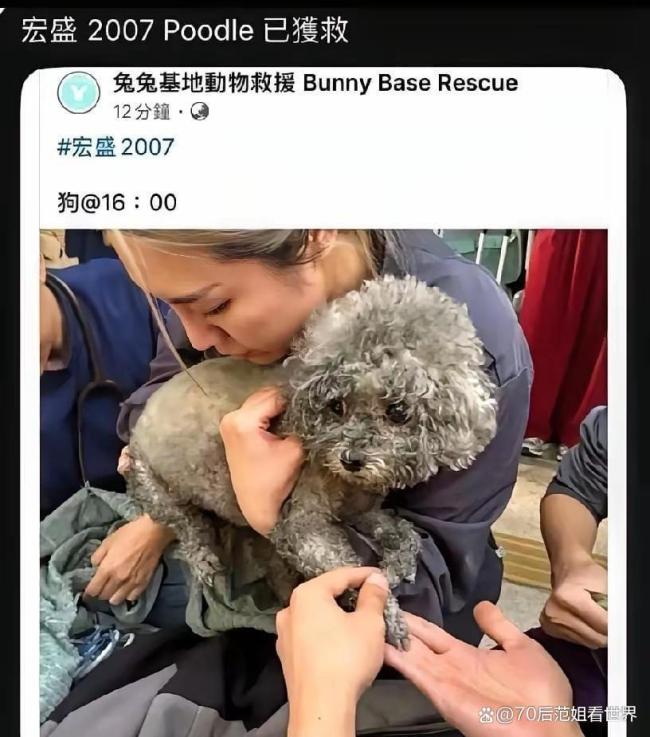 香港大埔火灾消防员救出被困狗狗 生命无贵贱，温情救援感动人心