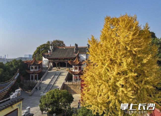 长沙县藏着一个五彩斑斓的秋 最美秋色等你来寻