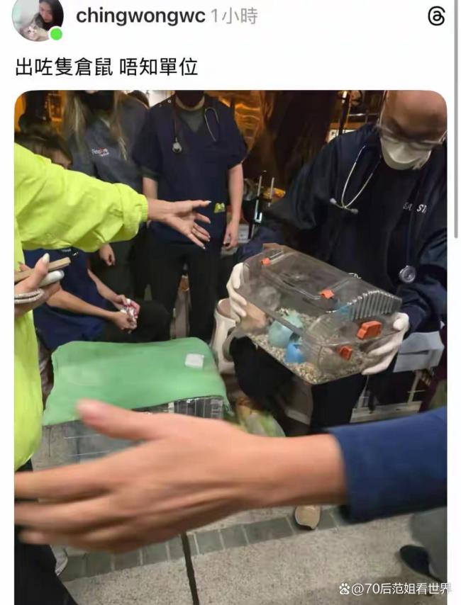 香港大埔火灾消防员救出被困狗狗 生命无贵贱，温情救援感动人心