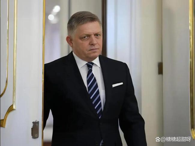 評論員:歐洲早已陷入兩難困局 金融信譽(yù)與戰(zhàn)場支援的抉擇