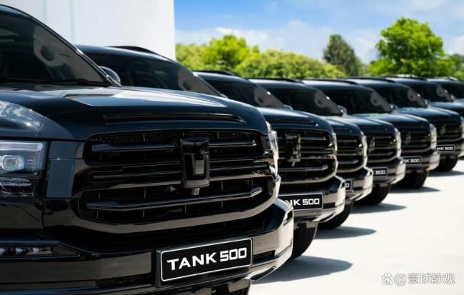 普京为何带货中国电动汽车 战略与市场的双重考量