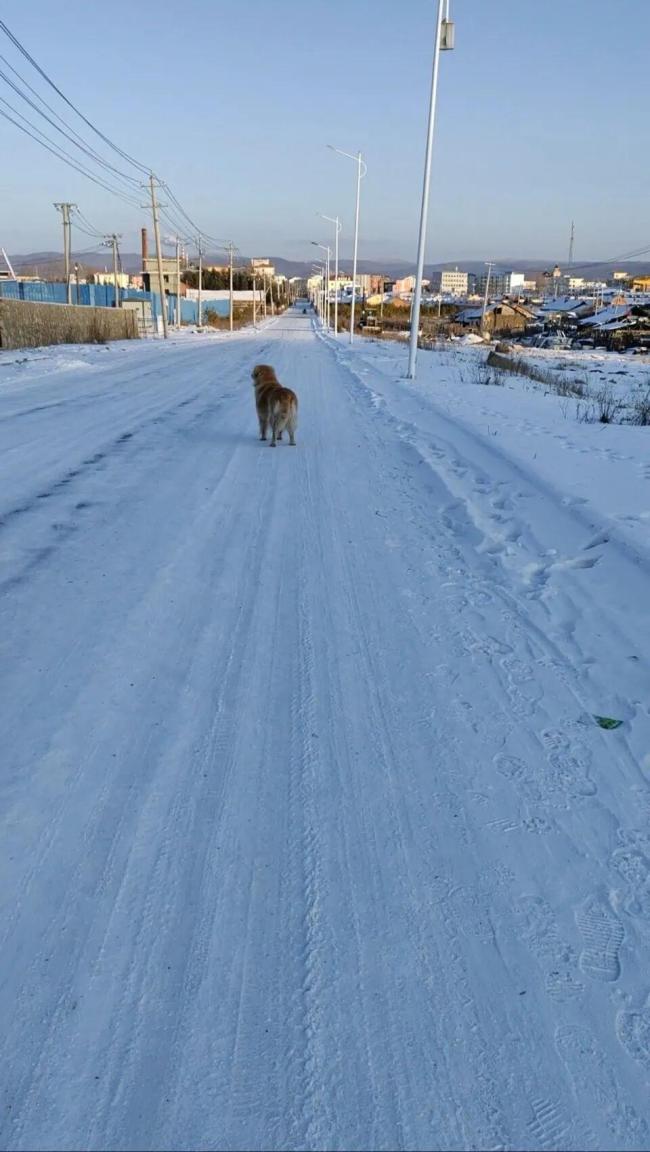 呼倫貝爾每年都有-40℃ 陽臺當(dāng)冰箱 極寒天氣下的生活智慧