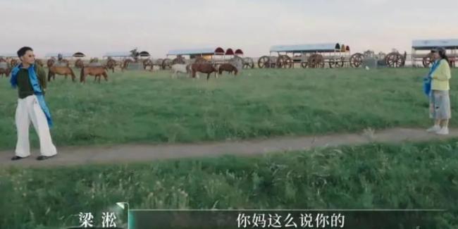 何美延梁淞没做婚前财产公证 婚姻困境引热议