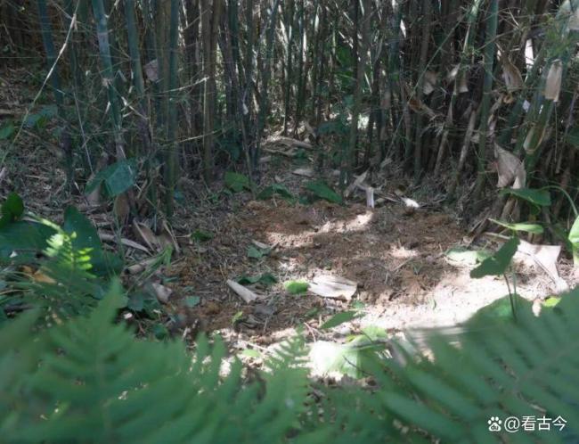 村民挖出千年銅鼓 竹林里的意外發(fā)現(xiàn)