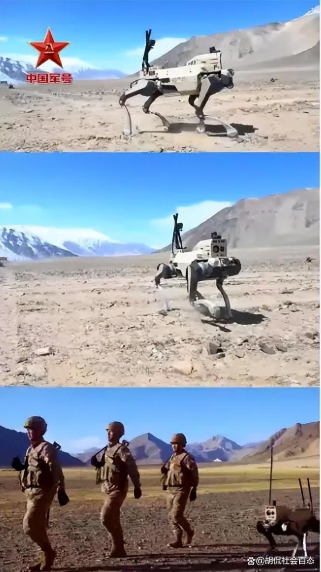 中国机器人哨兵站岗中印边境 科技守护和平