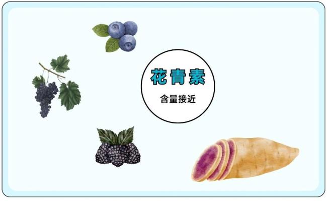 2塊錢的紅薯真不如4塊的紫薯嗎 營養(yǎng)對比揭曉