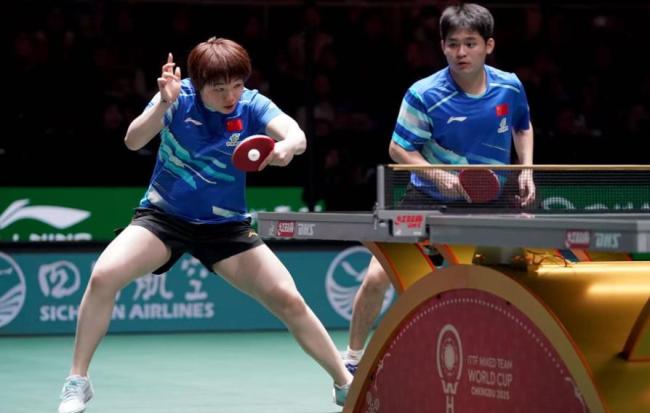 王楚钦不敌对手 国乒七连胜告捷